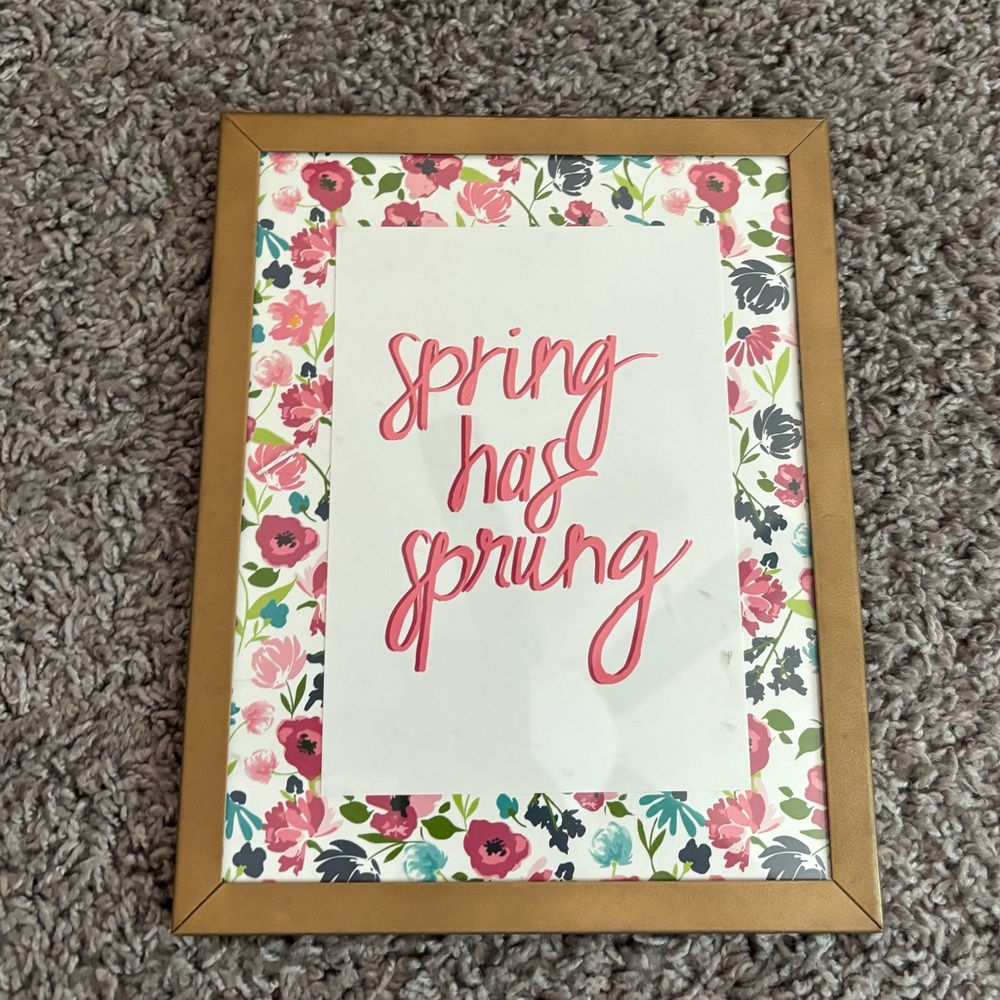 Floral 'Spring Has Sprung' Framed Art